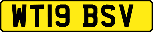 WT19BSV