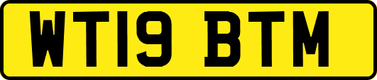 WT19BTM