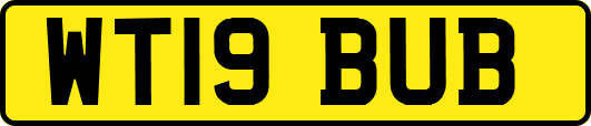 WT19BUB