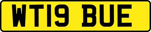 WT19BUE