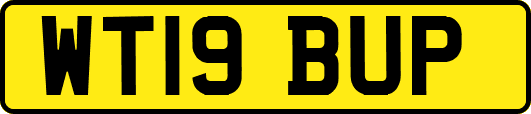 WT19BUP