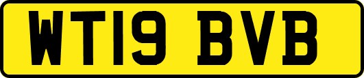WT19BVB
