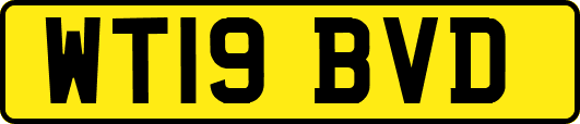 WT19BVD