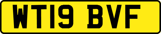 WT19BVF