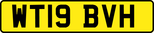 WT19BVH