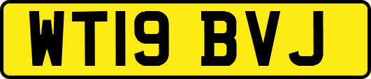 WT19BVJ