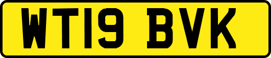 WT19BVK