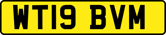 WT19BVM