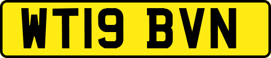 WT19BVN