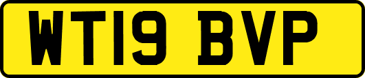 WT19BVP