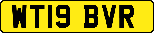 WT19BVR