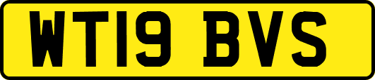 WT19BVS