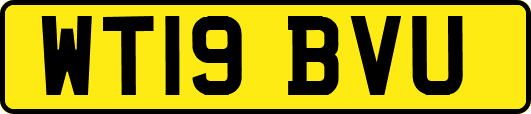 WT19BVU