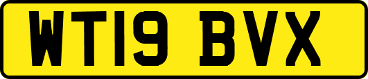 WT19BVX