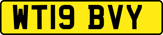 WT19BVY