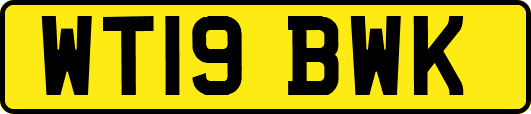 WT19BWK
