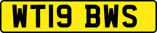 WT19BWS