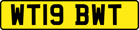 WT19BWT