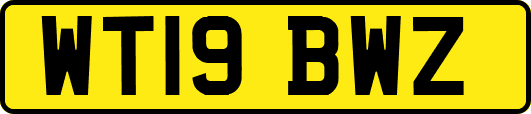 WT19BWZ