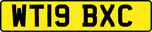 WT19BXC