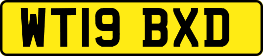 WT19BXD