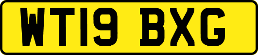 WT19BXG