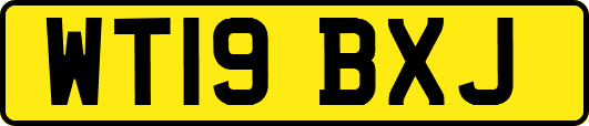 WT19BXJ