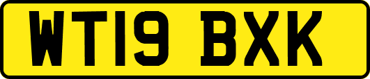 WT19BXK