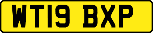 WT19BXP