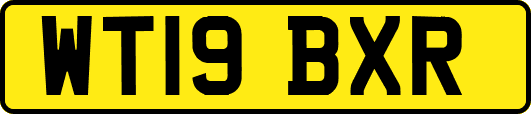 WT19BXR