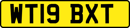 WT19BXT
