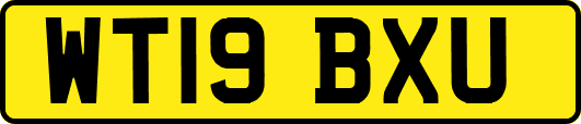 WT19BXU