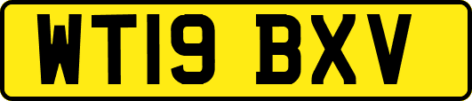 WT19BXV