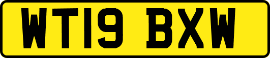 WT19BXW