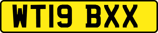 WT19BXX