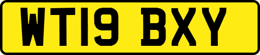 WT19BXY