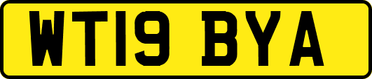 WT19BYA
