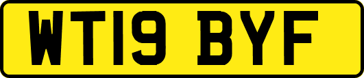WT19BYF