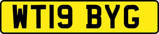 WT19BYG