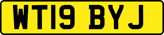 WT19BYJ