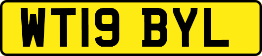 WT19BYL