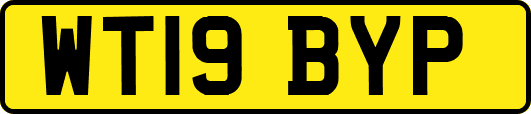 WT19BYP