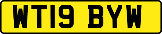 WT19BYW