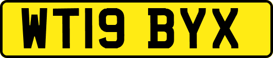 WT19BYX