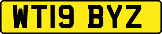 WT19BYZ
