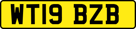 WT19BZB