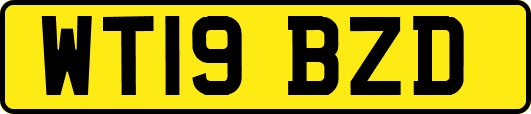 WT19BZD