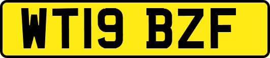 WT19BZF