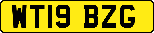 WT19BZG