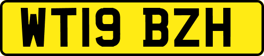 WT19BZH